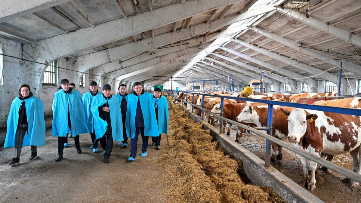 100 дней: определён курс на будущее