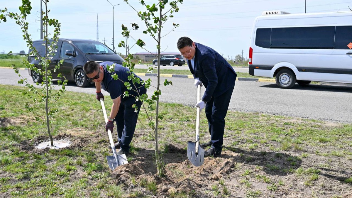 Аким области: мы должны превратить Семей в зелёный город